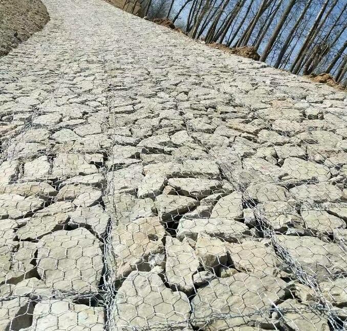 o¸eW