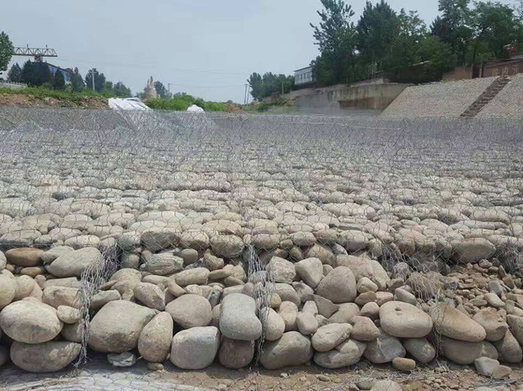 河道高爾凡雷諾護墊應用2